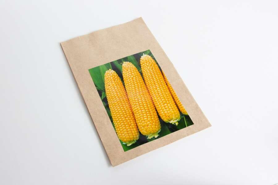 Типография Триада-М